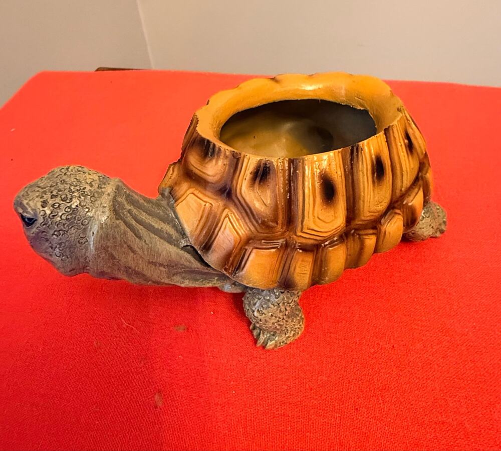 Adorable 
Life Like Turtle Polly Resin Garden Planter. For Succulent Air Plant